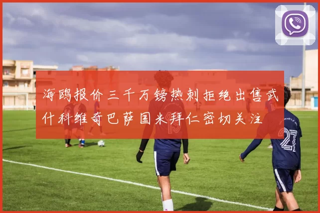 海鸥报价三千万镑热刺拒绝出售武什科维奇巴萨国米拜仁密切关注