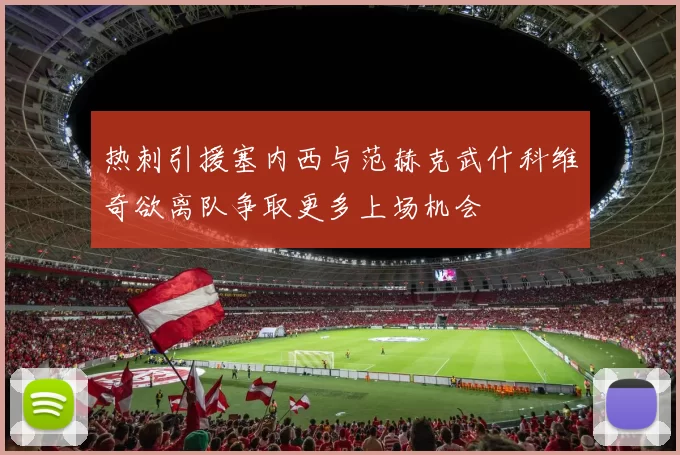热刺引援塞内西与范赫克武什科维奇欲离队争取更多上场机会
